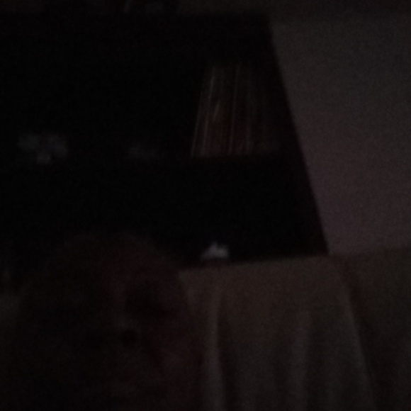 Meet your Posher, Patsy - Picture 1 of 1